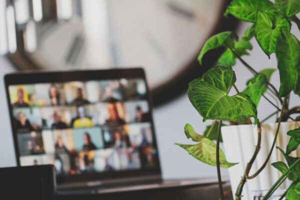 Una pianta verde in vaso si trova davanti a un computer portatile che visualizza una griglia di volti sfocati durante un incontro online, con un grande orologio a muro sullo sfondo.